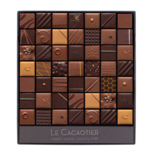 Coffret 49 chocolats praliné mixte