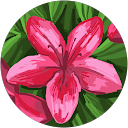 Nina Bourle profile picture