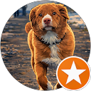 danael benfriha profile picture