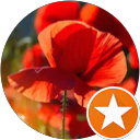 Steph. A profile picture