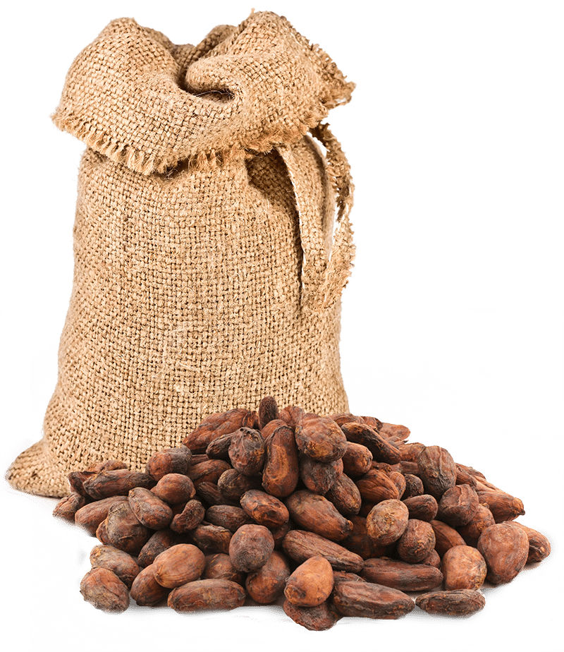 a bag of peanuts spilling out of a glass case