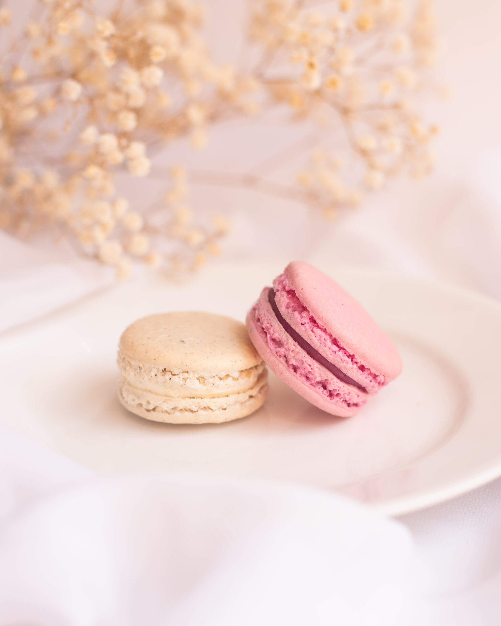 Photo de ambiance : macarons macarons divers parfums par la chocolaterie artisanale Le Cacaotier.